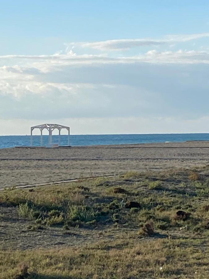 Tranquilidad Sol Playa Y Naturaleza Vera Exterior photo